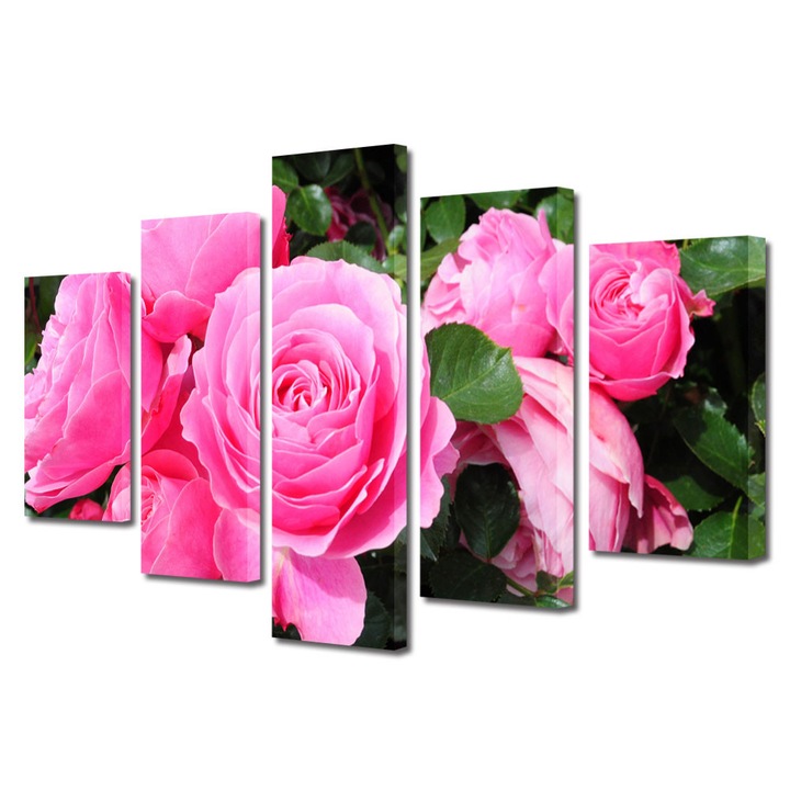 Tablou Multicanvas 5 Piese Flori, Trandafirii sunt roz, 60 x 100 cm