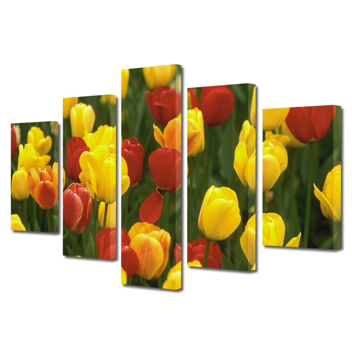 Tablou Multicanvas 5 Piese Flori, Lalele Galbene si Rosii, 60 x 100 cm