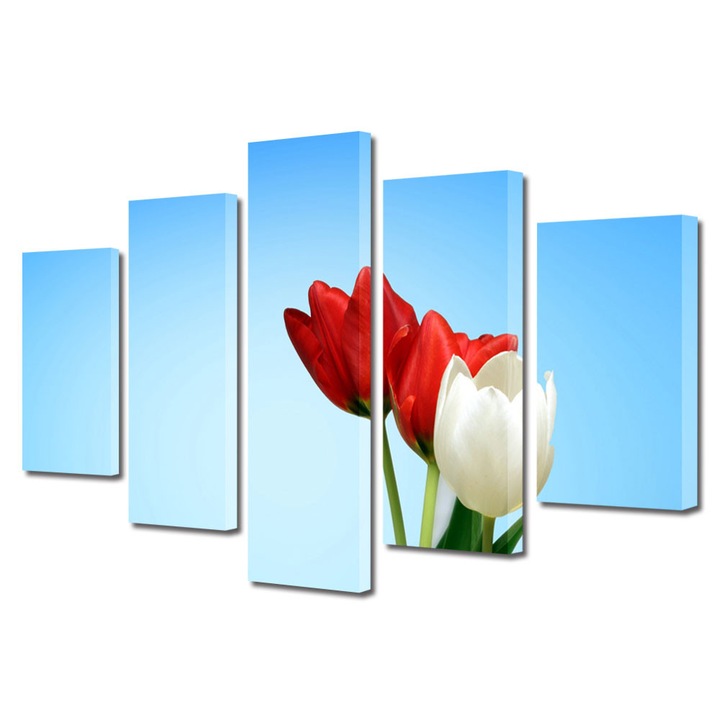 Tablou Multicanvas 5 Piese Flori, Lalele speciale, 60 x 100 cm