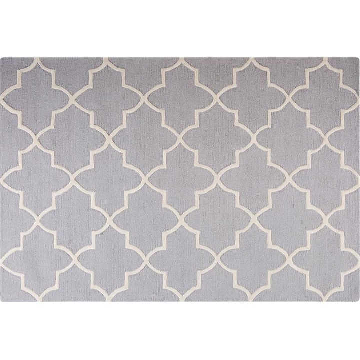 Covor Beliani 52817, 160x230 cm, Gri