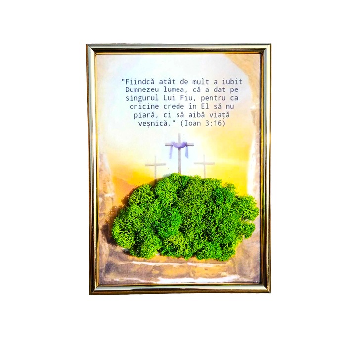 Decoratiune pentru interior, tablou cu licheni, verset biblic, Ioan 3:16, 13x18 cm, verde