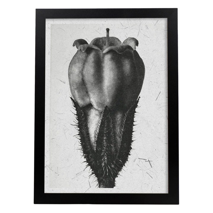 Tablou decorativ, Nacnic, Lemn, Cadru A3, Gri/Negru