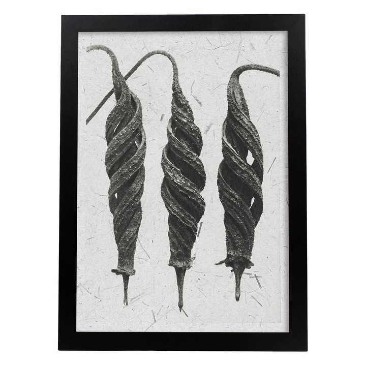 Tablou decorativ, Nacnic, Lemn, Cadru A3, Alb/Negru