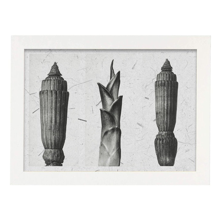 Tablou decorativ, Nacnic, Lemn, Cadru A3, Alb/Negru