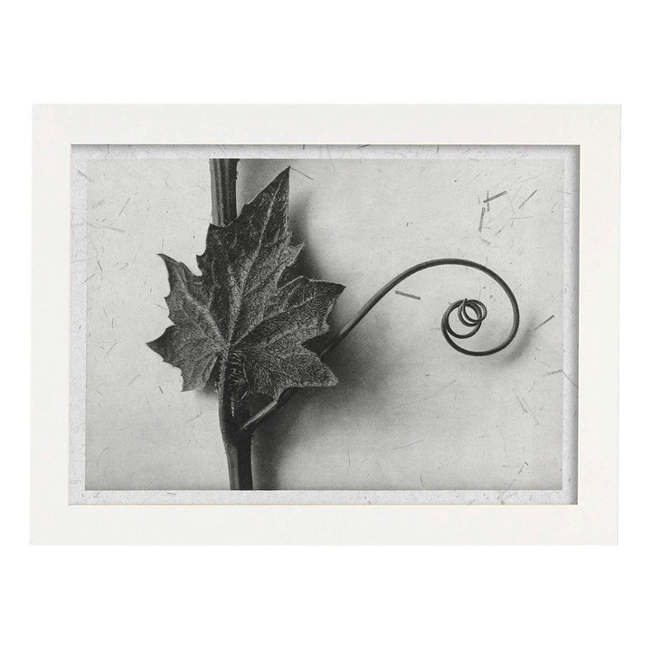 Tablou decorativ, Nacnic, Lemn, Cadru A3, Gri/Alb