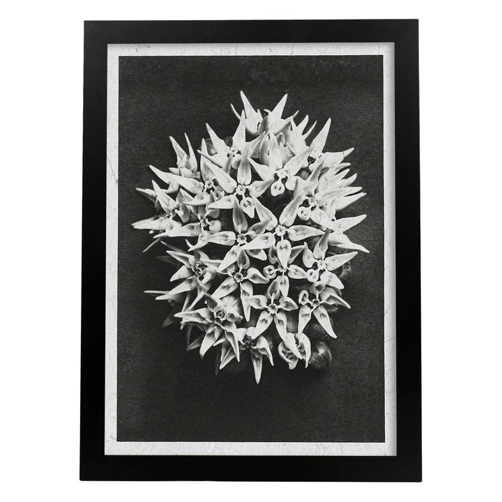 Tablou decorativ, Nacnic, Lemn, Cadru A3, Alb/Negru