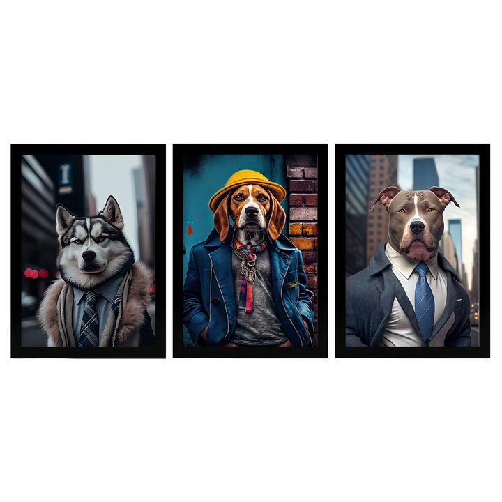 Set 3 postere, Nacnic, A4., 100815-3-A4-SM