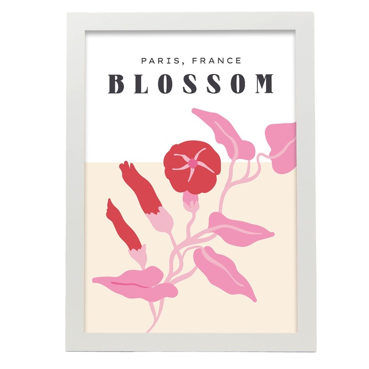 Tablou, Nacnic, Flori, A4, Alb, 17209-1-A4-CM-NEGRU