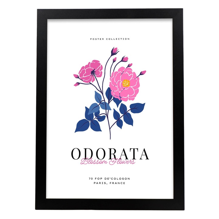 Tablou, Nacnic, Flori, A4, Negru, 17175-1-A4-SM