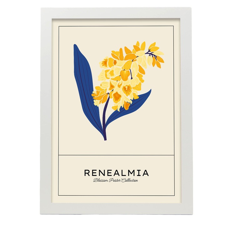 Tablou, Nacnic, Flori, A4, Alb, 17177-1-A4-CM-NEGRU