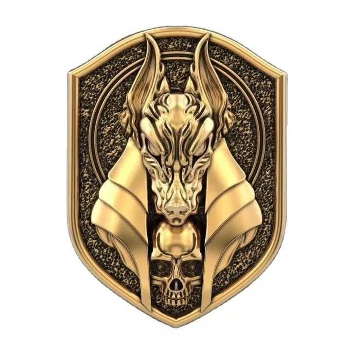 Inel din inox auriu cap de sacal 18583