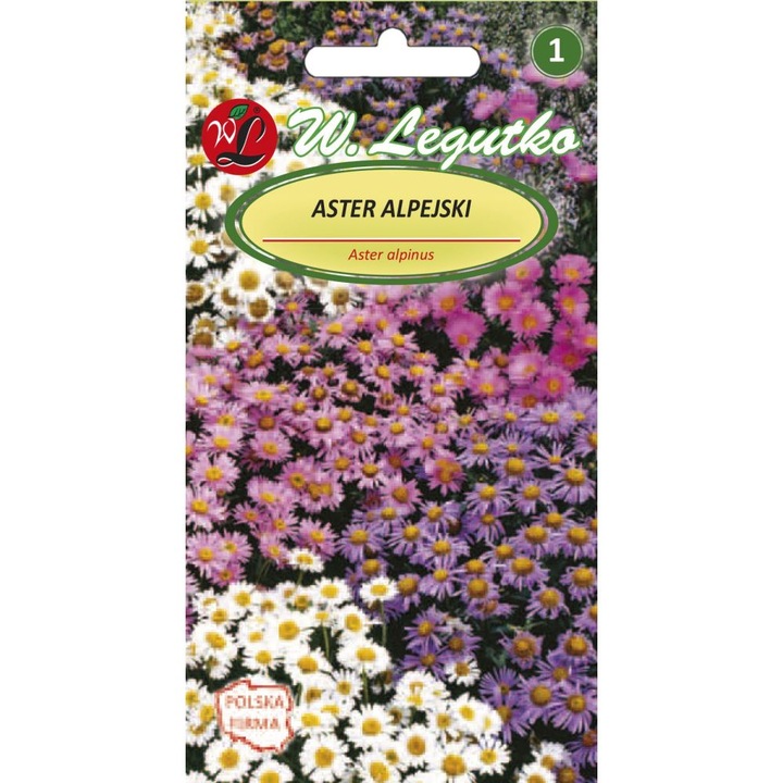 Seminte flori Aster alpinus, Legutko, Multicolor, 300 mg