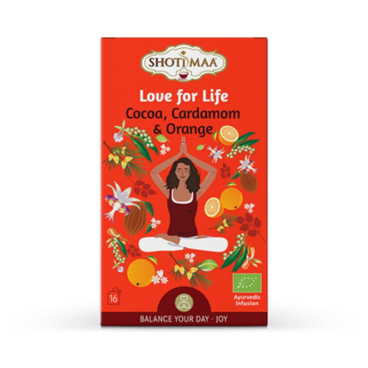 CEAAI SHOTI MAA CACAO, CARDAMON, PORTOCALE BIO 16 PLICURI