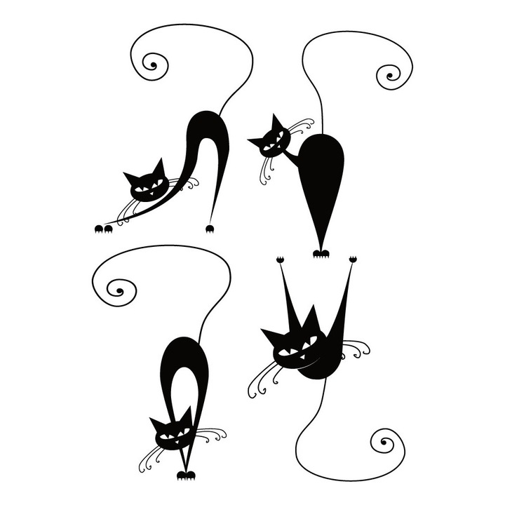 Sticker decorativ - Pisici cu stil 50x70cm