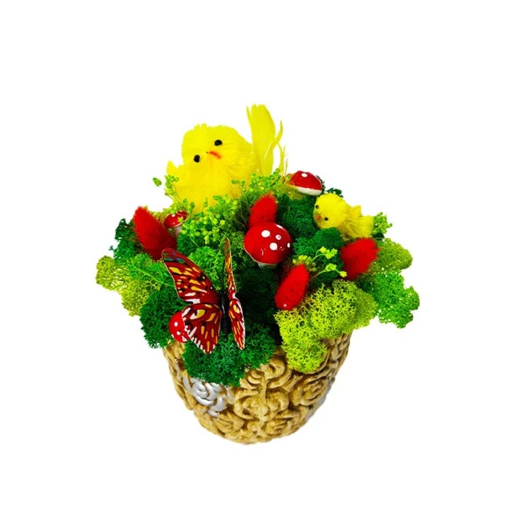 Decoratiune handmade cu licheni stabilizati, plante naturale, uscate, puisori, ciupercute si fluturas, in ghiveci, Velve, Inaltime 20 cm