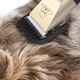 Set Masina De Tuns Animale,12 piese, Clste Unghii, Foarfeca, Pieptan si Pilit, Caini, Pisici, Fara Fir, Auriu Negru