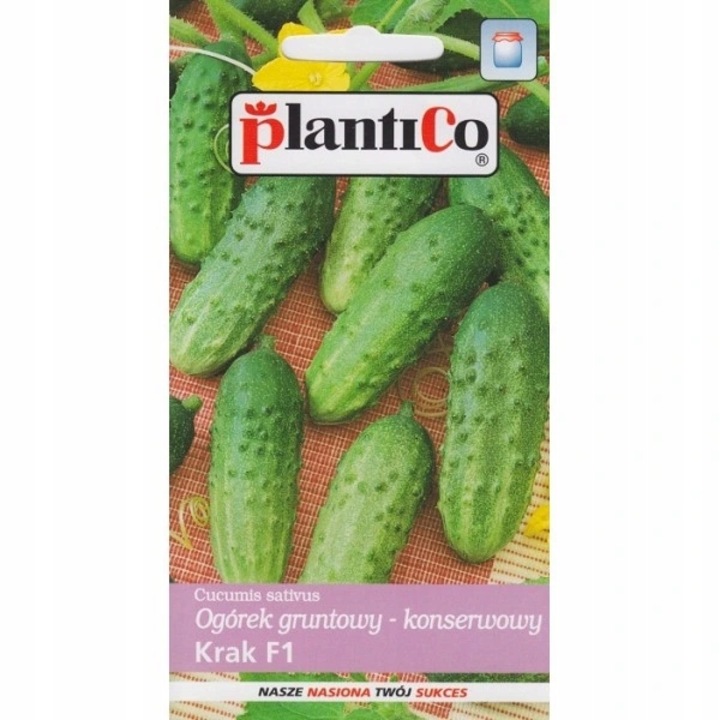 Seminte de castravete murat, Plantico, 5g