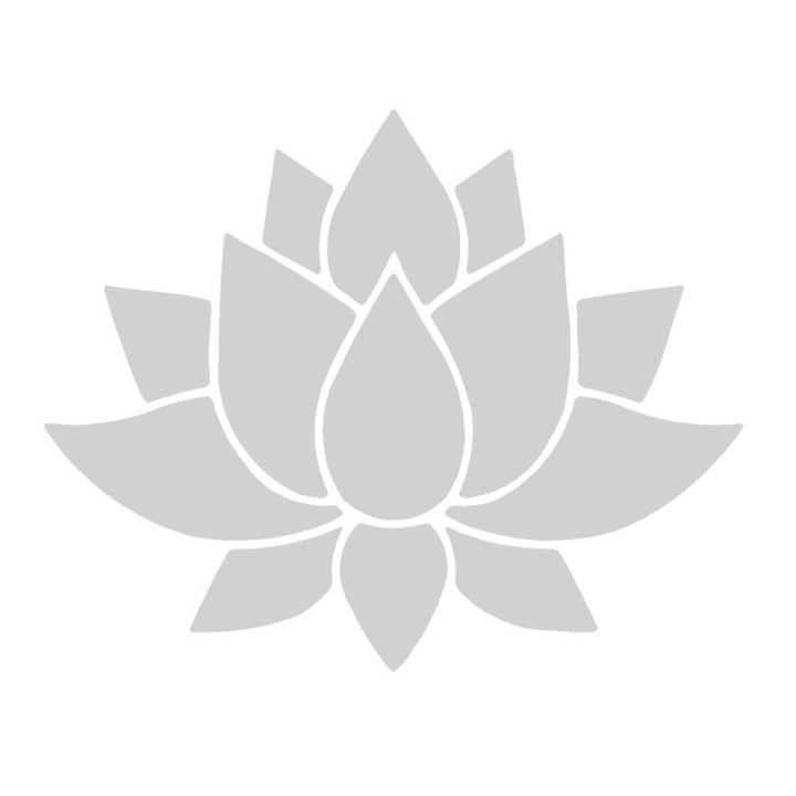 Sticker decorativ perete / geam si auto, flower, 20x15cm, alb