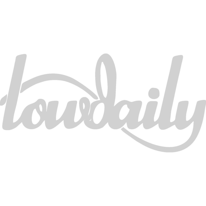 Sticker decorativ auto, Low daily, 20x10 cm, alb