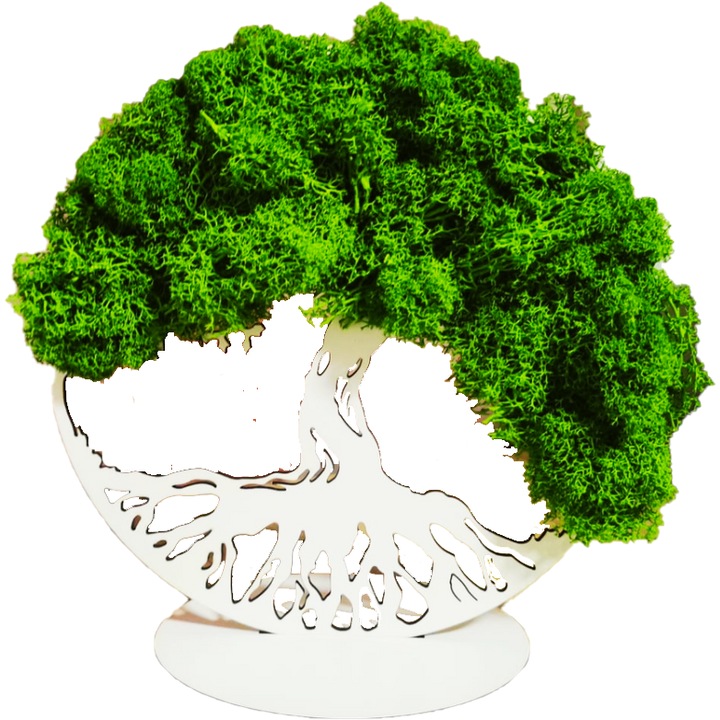 Decoratiune Copacul Vietii, Licheni Naturali verzi, Cu Suport Alb, 25 cm