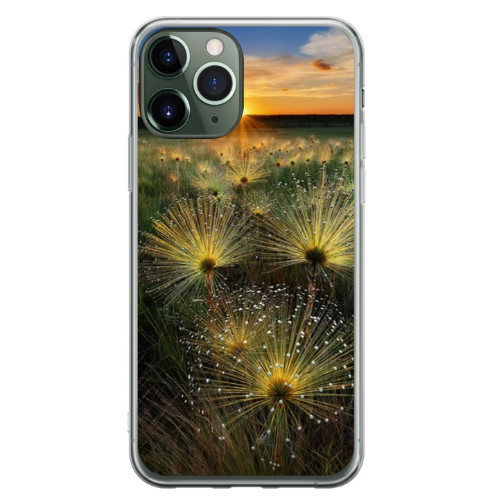 Személyre szabott, 360 fokos úszótok Apple iPhone 11 Pro készülékhez, Nice View #11 modell, sokszínű, S1D1M0246