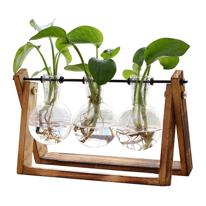 Vaza decorativa pentru plante, Lemn/Sticla, Maro/Transparent