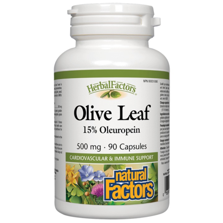 Хранителна добавка Natural Factors, Olive Leaf, Маслина (лист) 500 mg х 90 капсули