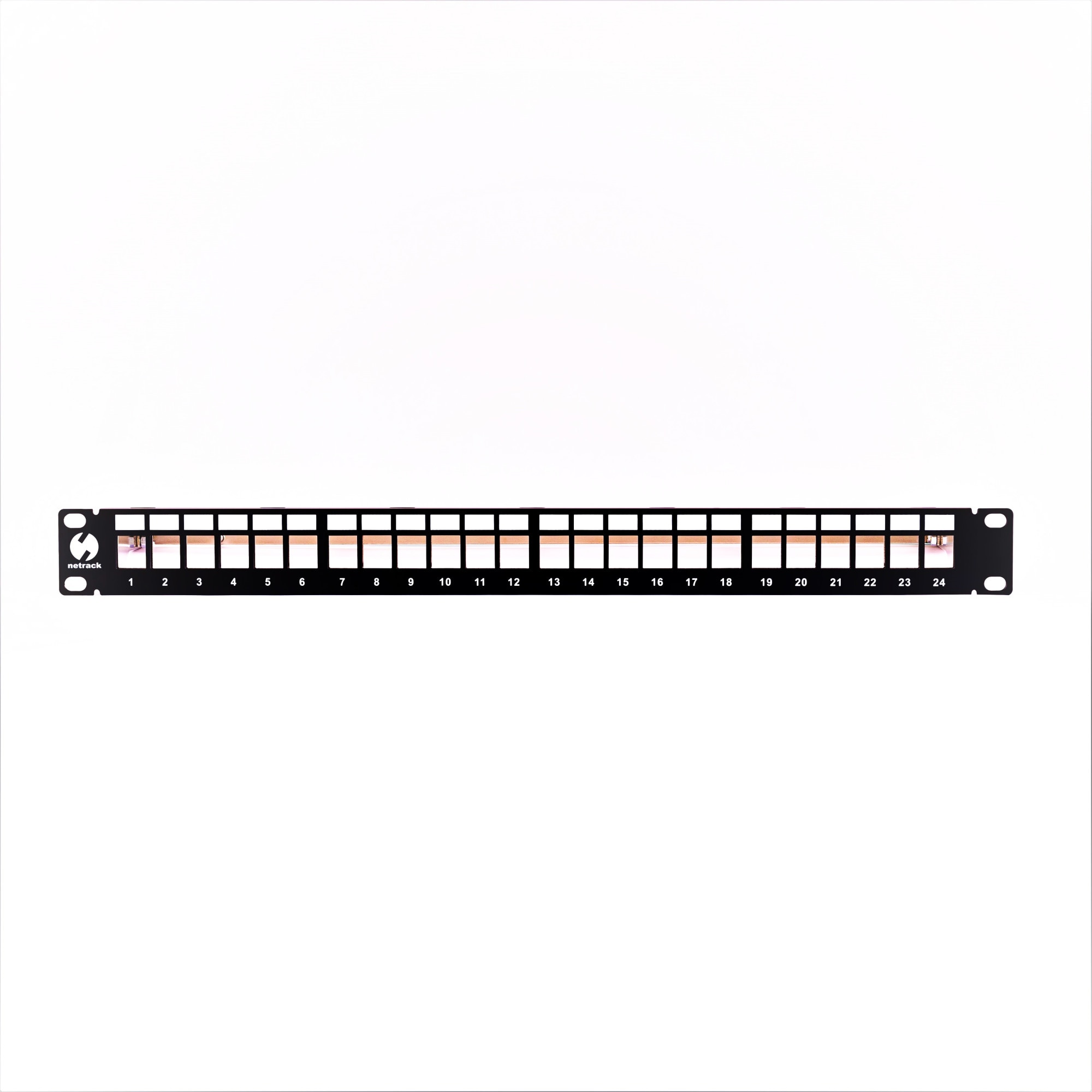 Patch panel keystone RACK 19" 1U, 24 porturi, FTP, STP, Netrack, cu ...