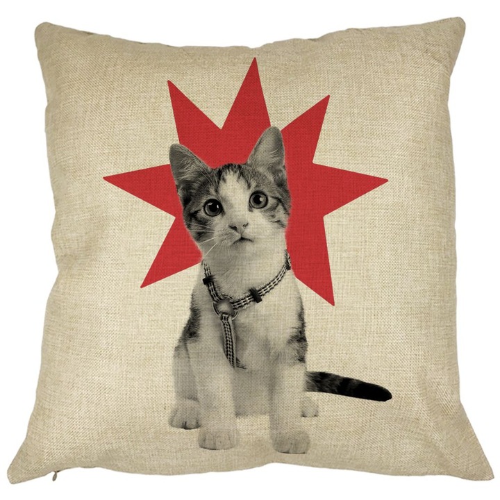 Super Cat Square dekoratív párna, 40x40 cm, Levehető huzat, Fújtató