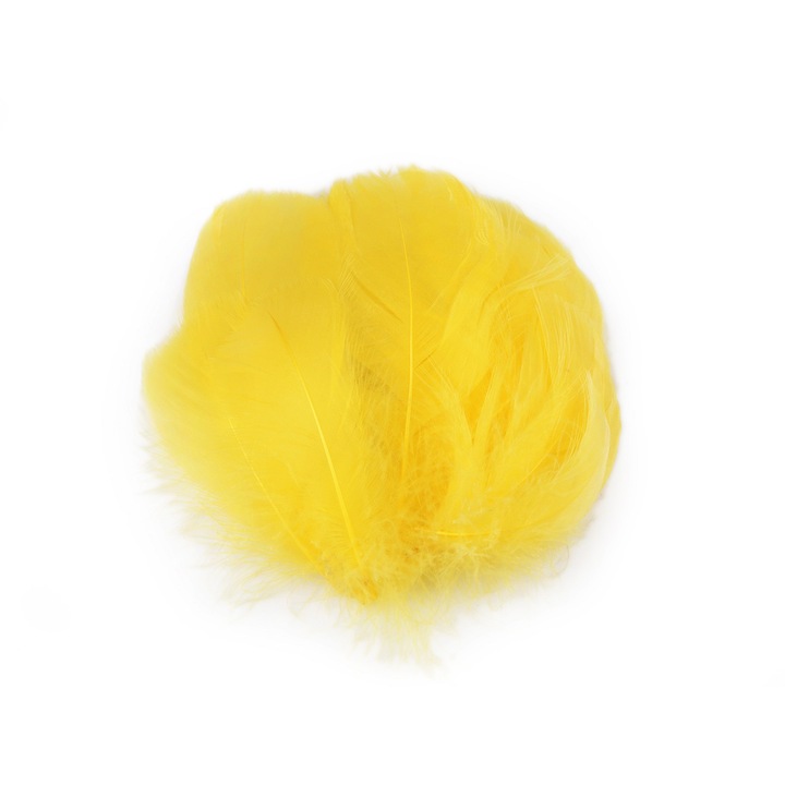 Set 20 pene decorative de strut lungime 6-10 cm, Galben