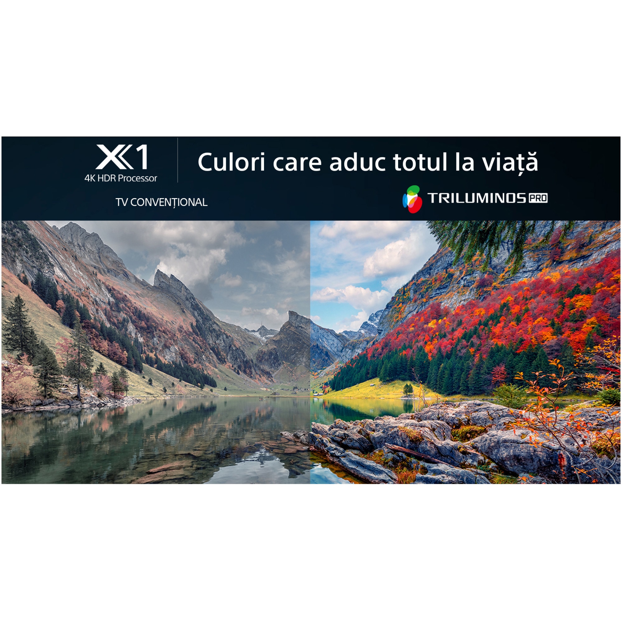 Televizor Sony BRAVIA LED 50X80L, 126 cm, Smart Google TV, 4K Ultra HD, Clasa G