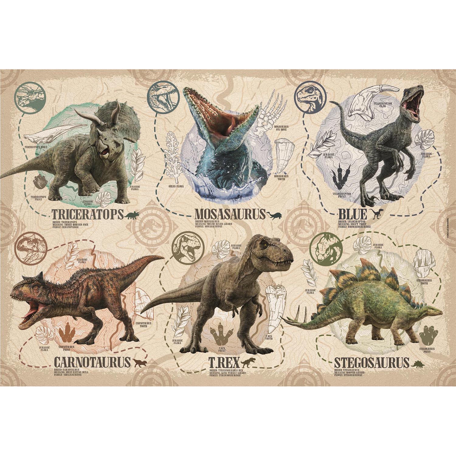 Puzzle Jurassic World 60 Maxi Pièces - Supercolor Enfant 4 Ans Et Plus - Fabriqué En Italie - Image Dinosaures 68x48 Cm - Jeu éducatif