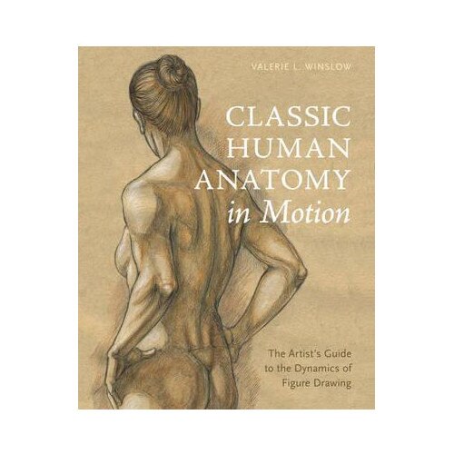 Classic Human Anatomy in Motion - Valerie L. Winslow