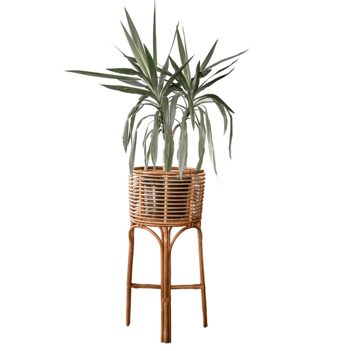 Suport pentru flori, Monnarita, Ratan natural, 60 cm, Maro