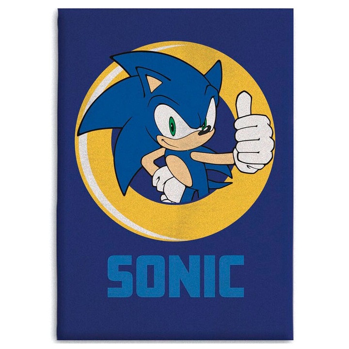 Sonic The Hedgehog gyapjútakaró