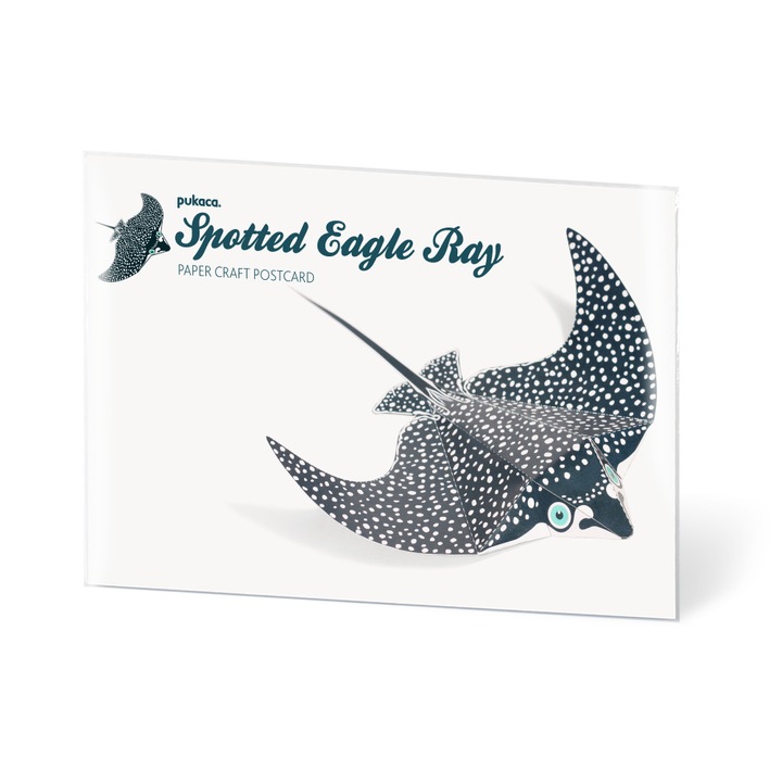 Felicitare craft de construit o pisica de mare din hartie, PUKACA