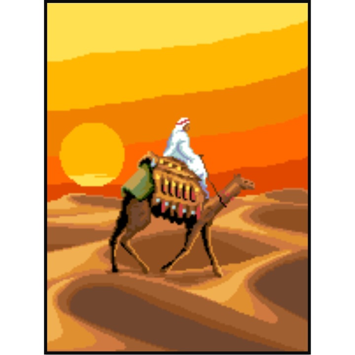 Desertul arabului - kit goblen cu panza imprimata