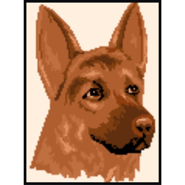 Donna caine lup - kit goblen cu panza imprimata