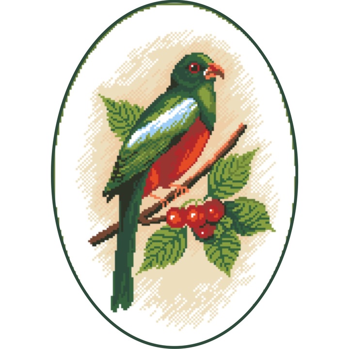 Prietenul lui Ara - kit goblen cu diagrama alb-negru