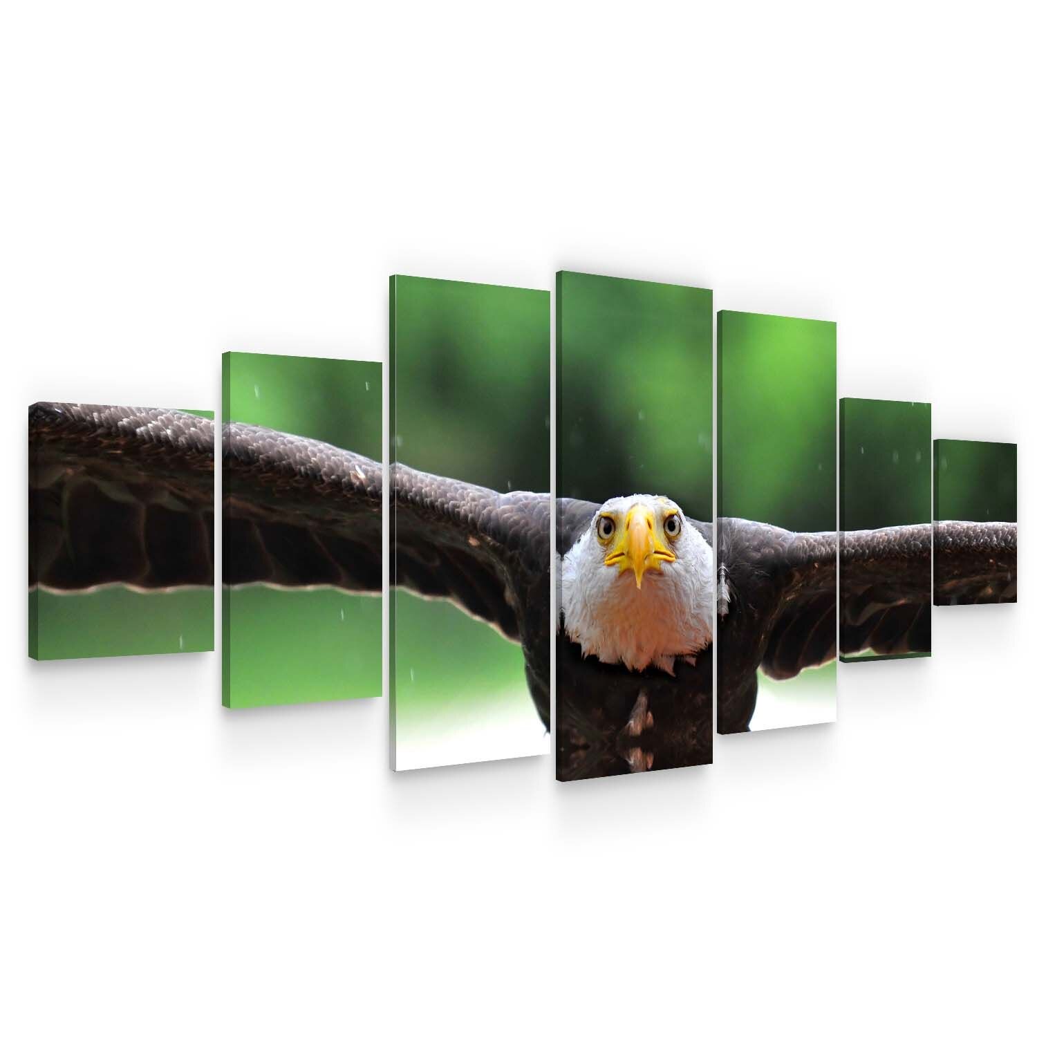 Set Tablou DualView Startonight Vultur american, 7 piese, luminos in intuneric, 100 x 240 cm