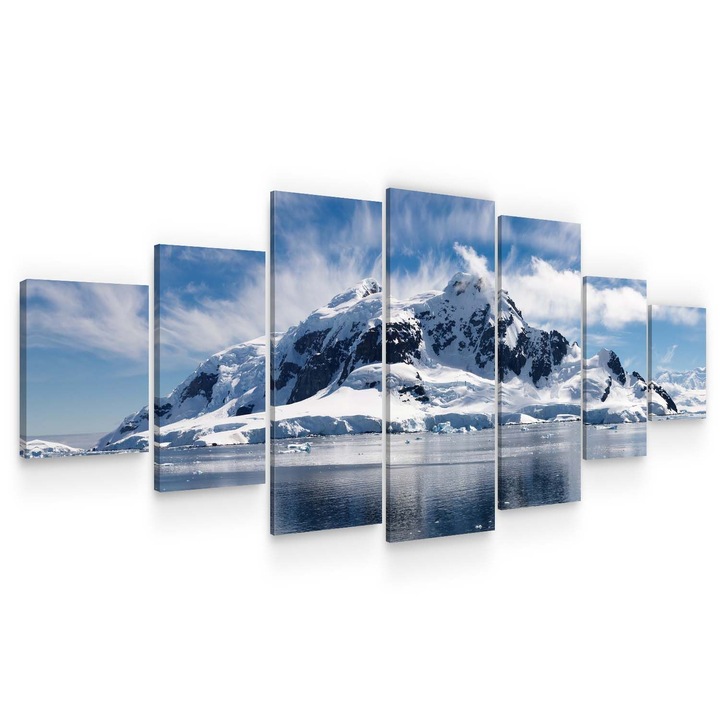 Set Tablou DualView Startonight Antarctica, 7 piese, luminos in intuneric, 100 x 240 cm
