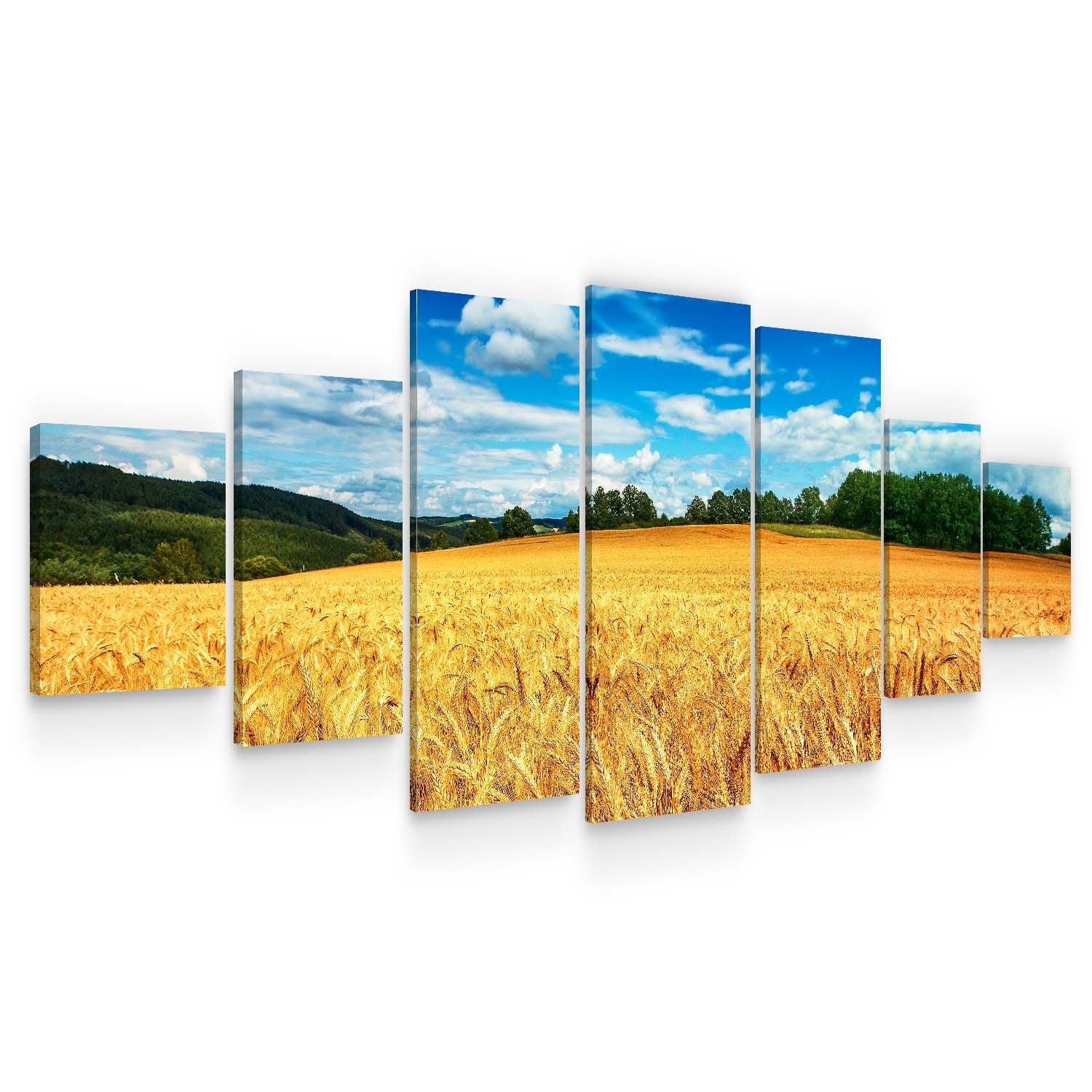 Set Tablou DualView Startonight Campul auriu, 7 piese, luminos in intuneric, 100 x 240 cm