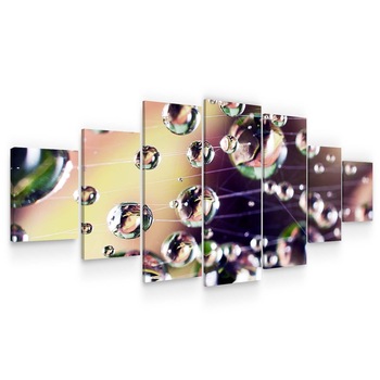 Set Tablou DualView Startonight Roua, 7 piese, luminos in intuneric, 100 x 240 cm Set Tablou DualView Startonight Roua, 7 piese, luminos in intuneric, 100 x 240 cm