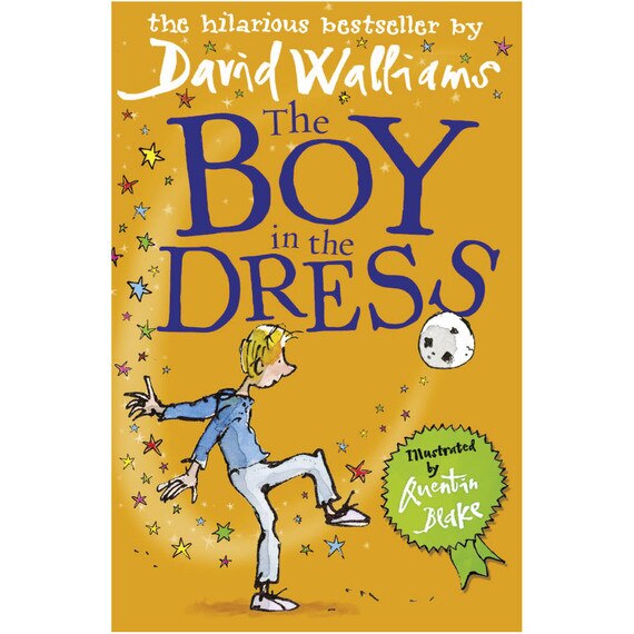 The Boy in the Dress - David Walliams