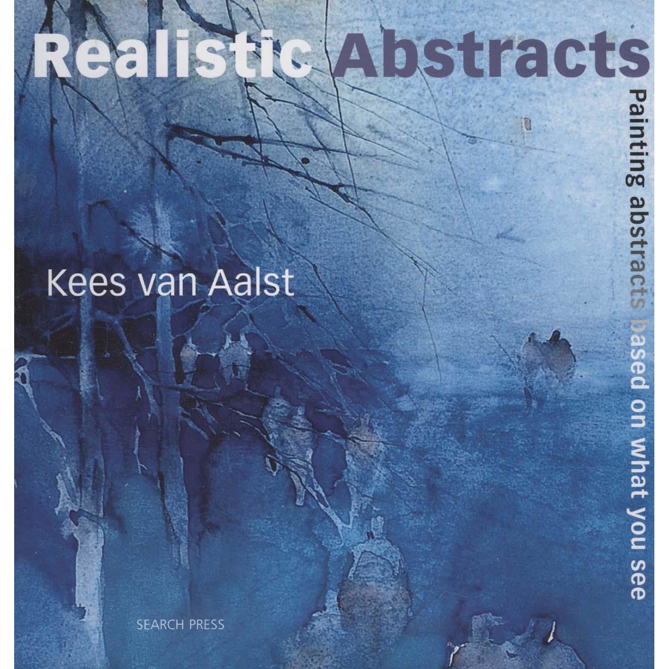 kees van aalst realistic abstracts