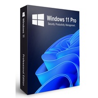 Licenta Windows 11 Pro, All Lang, USB inclus, 64-bit