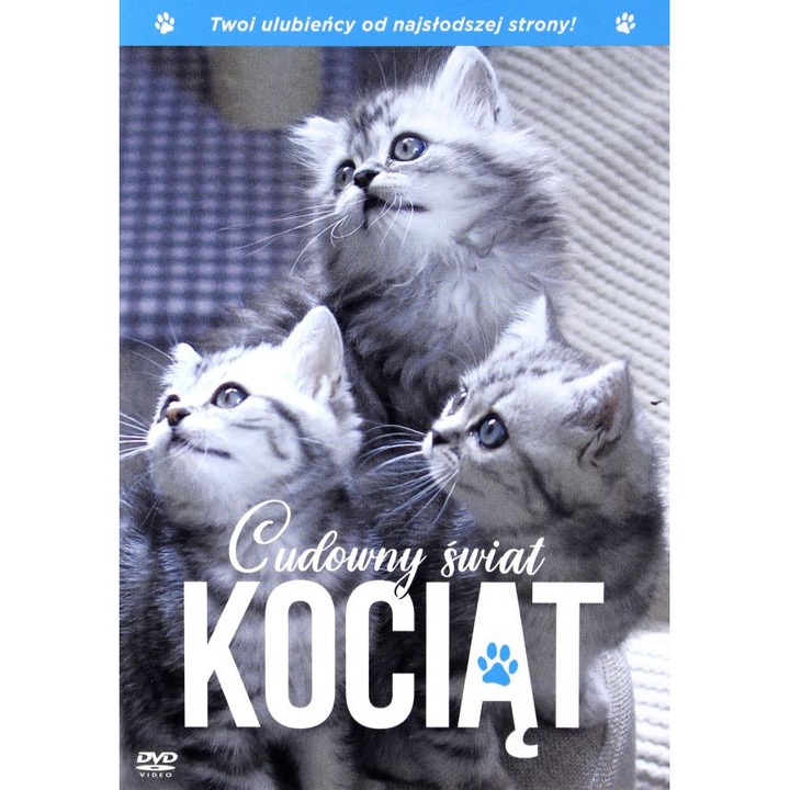 The Secret Life of Kittens [DVD]