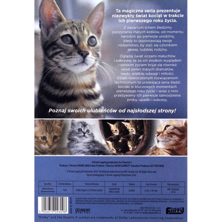 The Secret Life of Kittens [DVD]