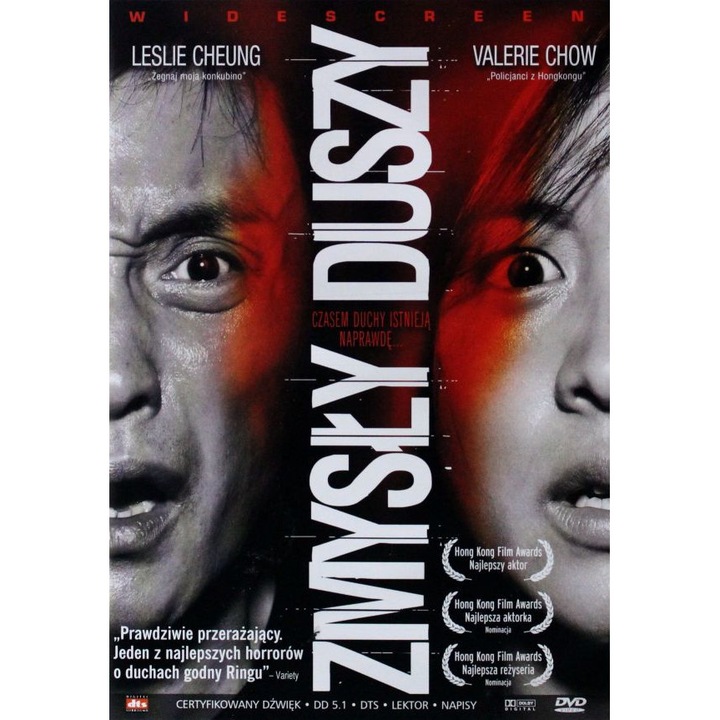 Yee dou hung gaan [DVD]