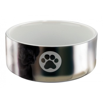Castron Trixie Ceramica Pentru Caini 0.3 l/ø 12 cm Argintiu/Alb 25083 Castron Trixie Ceramica Pentru Caini 0.3 l/ø 12 cm Argintiu/Alb 25083
